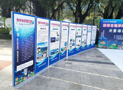 福鼎KT板的种类和知识。