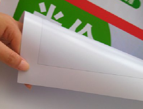 福鼎车贴和背胶有什么区别？